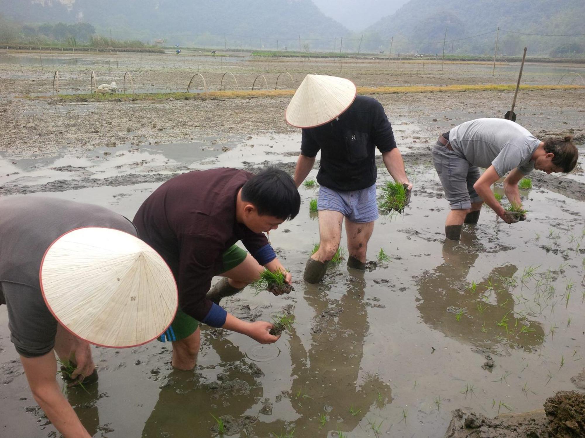 三谷稻田度假村 宁平 外观 照片